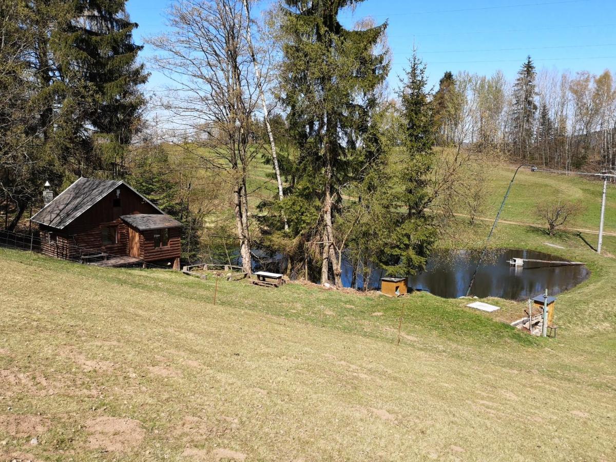 Srub Na Svahu Sjezdovky V Radvanicich Radvanice  Exterior photo